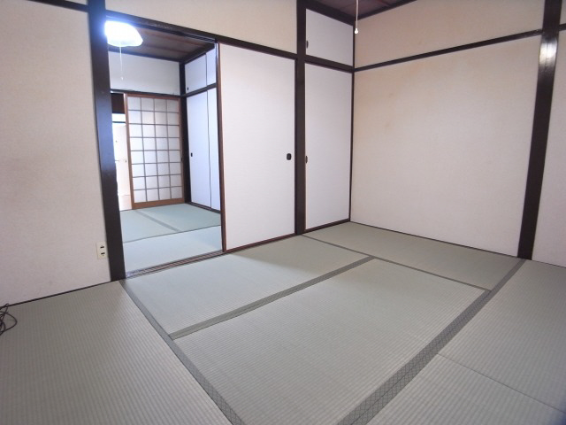 Living and room. Renovated after the green tatami