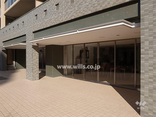Other common areas. Communal area