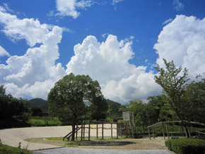 park. There is a 546m large play equipment and a large dish type of slide to Central Park, Popular with children. Holidays and after school is crowded with children