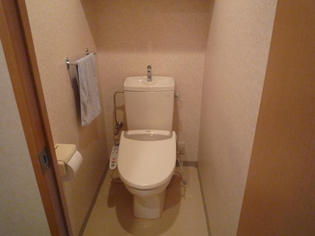 Toilet. Toilet (comes with a bidet. )