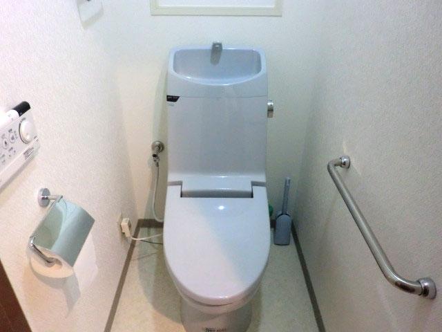Toilet. It has been replaced in the renovation