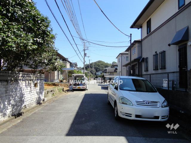 Local photos, including front road. Frontal road