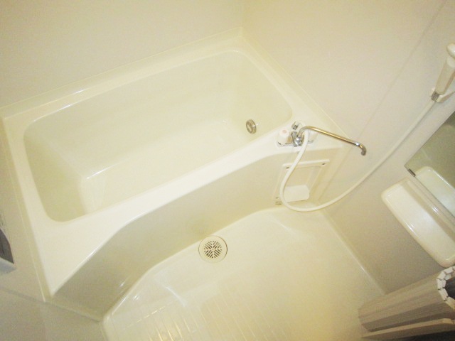 Bath. Spacious bathroom with reheating