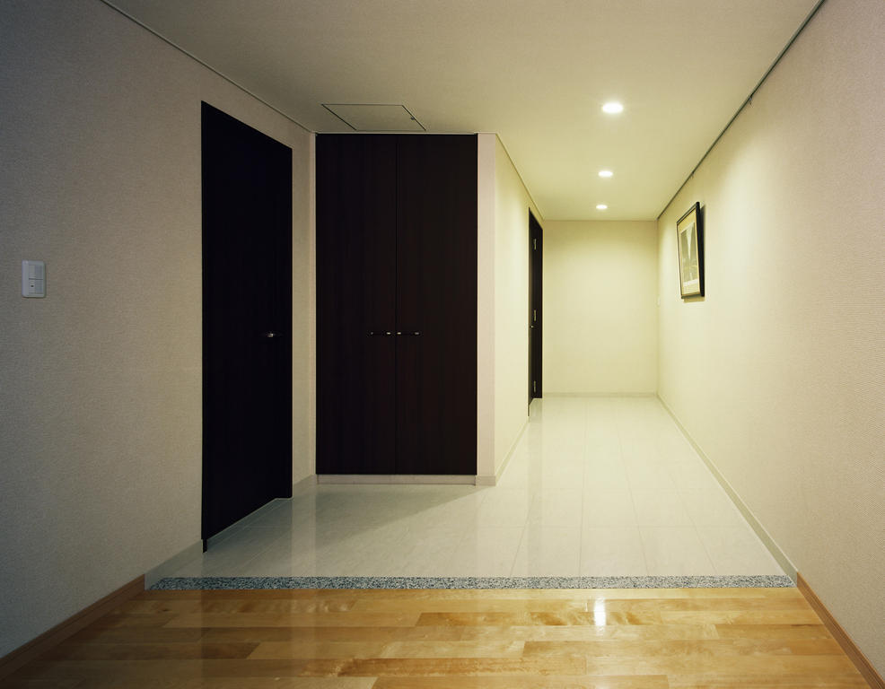 Entrance. Spacious, Entrance equipped with a multi-storage