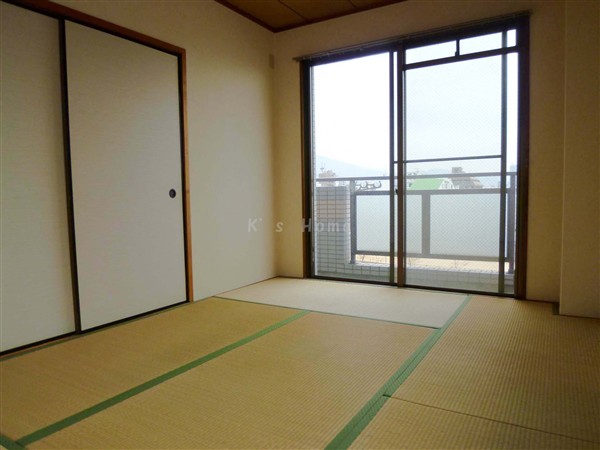 Other room space. Quaint Japanese-style room