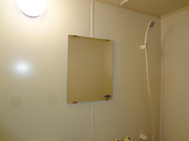 Other Equipment. Bathroom mirror