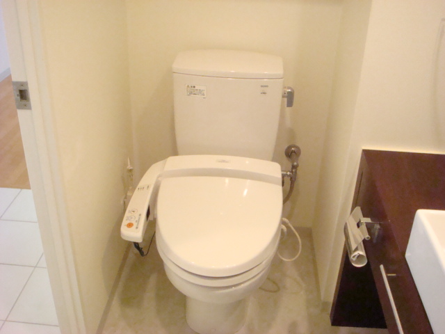 Toilet. Bidet with toilet