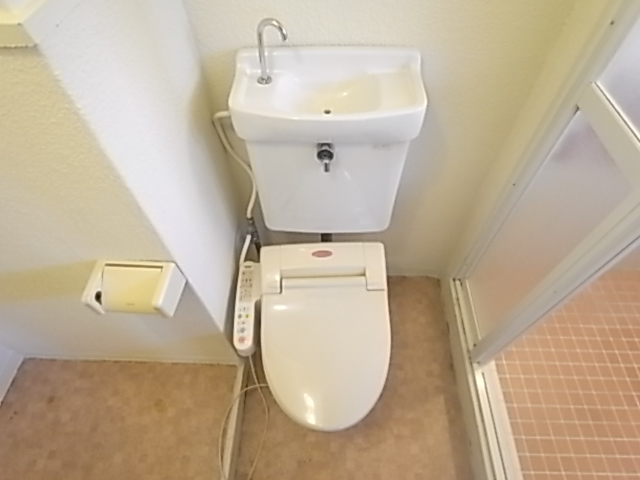 Toilet. Toilet