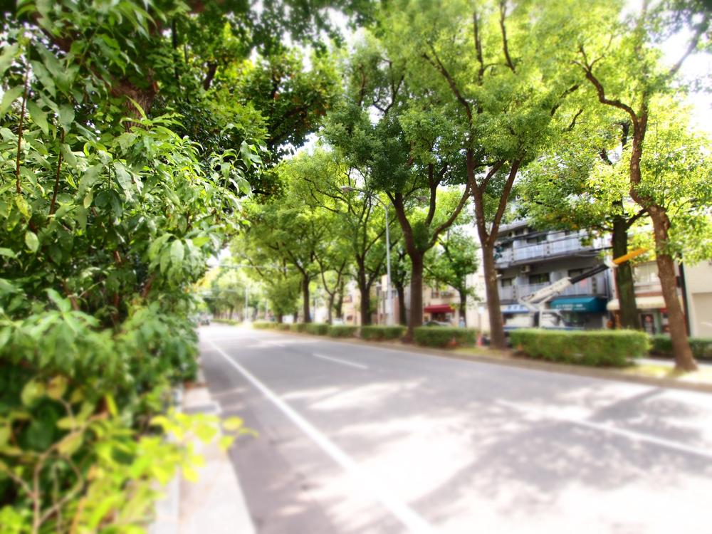 Streets around. Many green even in the 50m, Chuo-ku, until the rooftops of surrounding local, Calm living environment. 