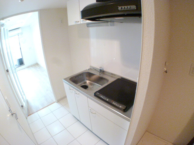 Kitchen. IH stove.