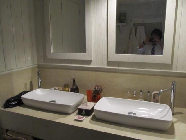 Wash basin, toilet. Vanity photo
