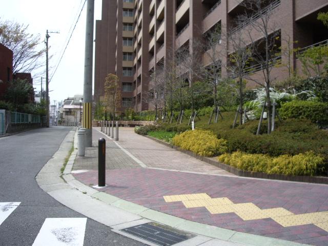 Local appearance photo. local