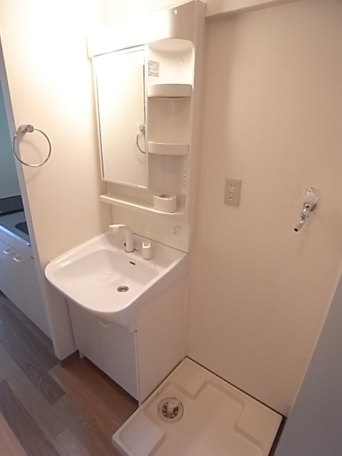 Washroom. Independent wash basin with shampoo dresser