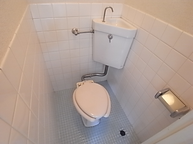 Toilet. Reference image (It is a photograph of the other in Room)