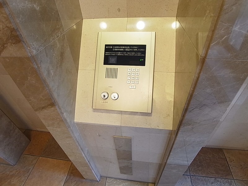 Security. Auto-lock system with a TV monitor