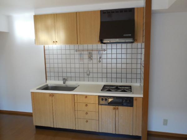 Kitchen. Gas system kitchen leaving motivated!