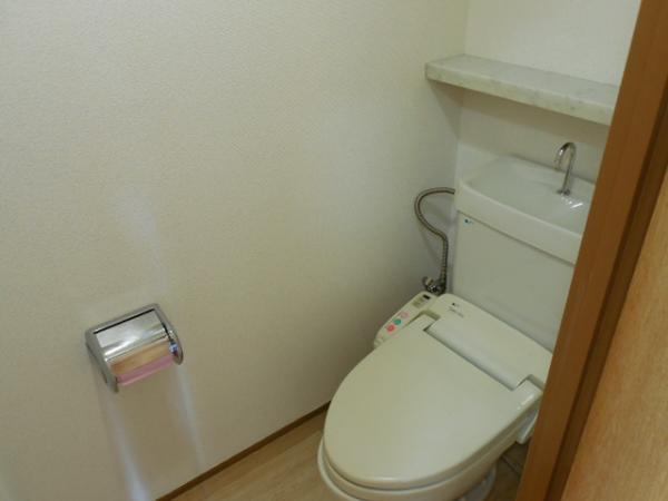 Toilet. Toilet with cleanliness!