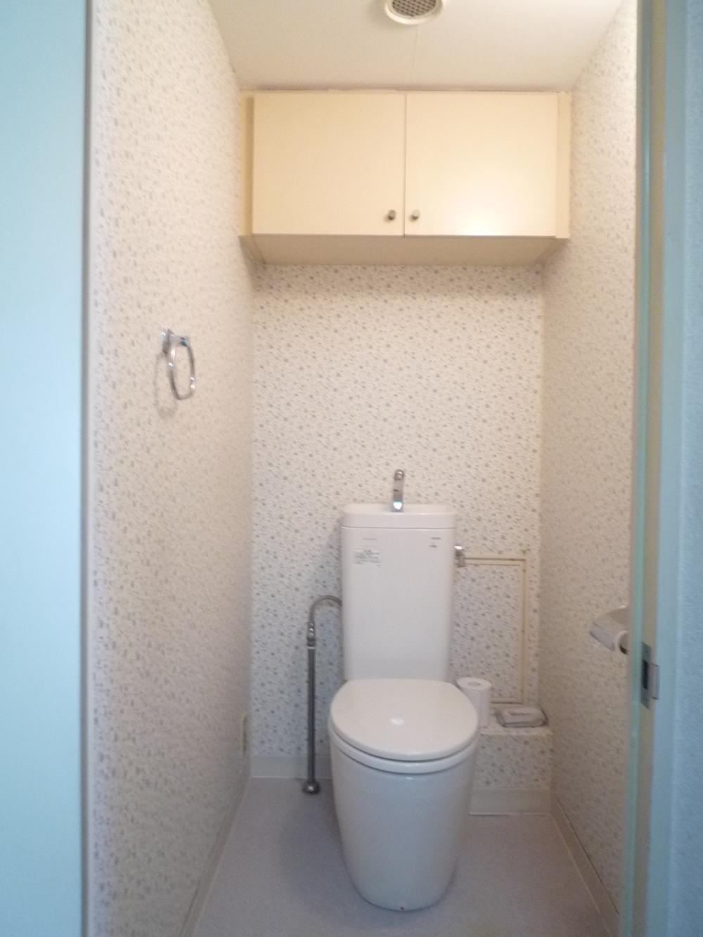 Toilet. Room (August 2013) Shooting