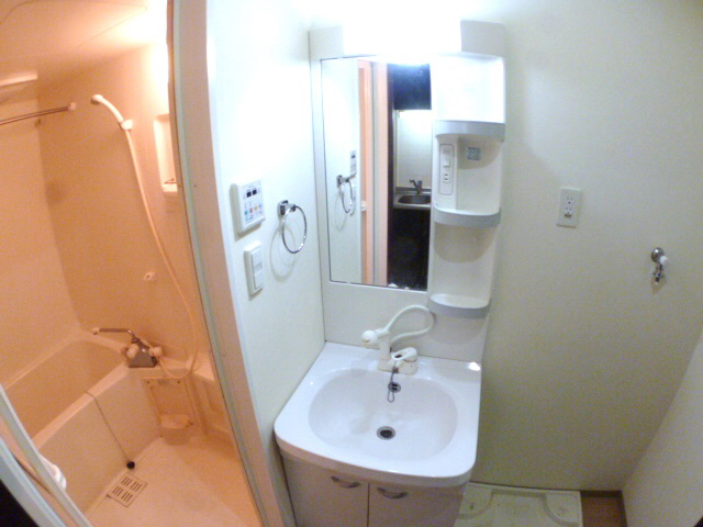 Washroom. Independent Shampoo dresser
