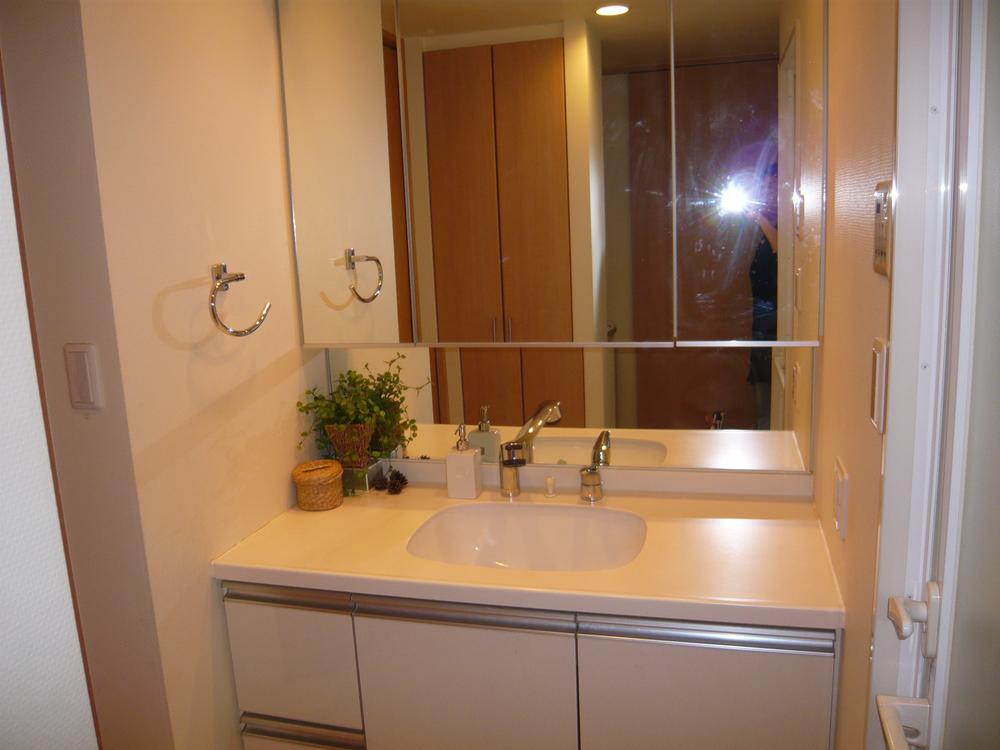 Wash basin, toilet. Bathroom vanity