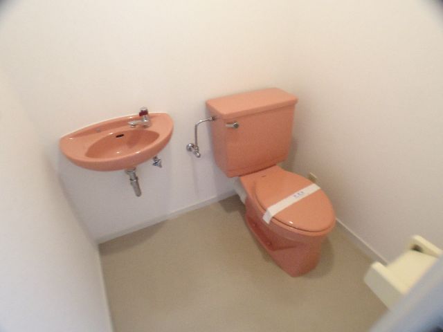 Toilet. Spacious toilet.
