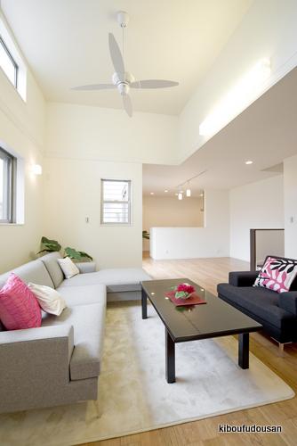 Same specifications photos (living). Construction Case