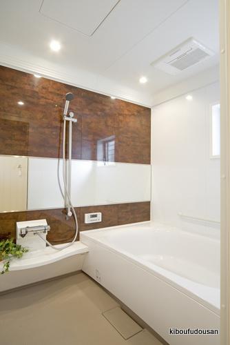 Same specifications photo (bathroom). Construction Case