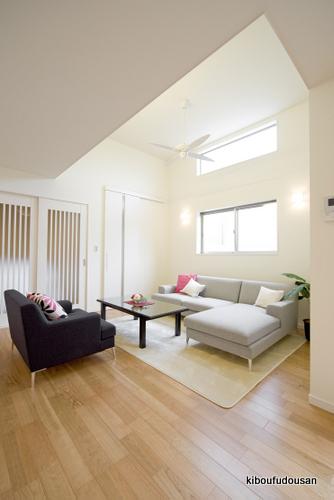 Same specifications photos (living). Construction Case