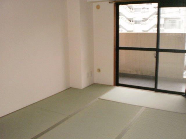 Non-living room. Indoor (June 2012) shooting