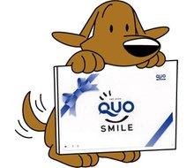 Present. Entitled to customers who visit us have gotten a look at Sumo, We will present entitled to a QUO card 500 yen! ! For more information please do not hesitate to contact us to buy and sell in charge.  ※ But only to customers who had you all fill in the questionnaire. 