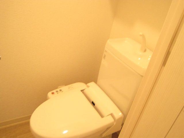 Toilet. Reform is settled