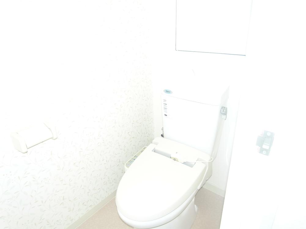 Toilet. Indoor (10 May 2013) Shooting