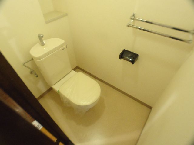 Toilet. Spacious toilet space