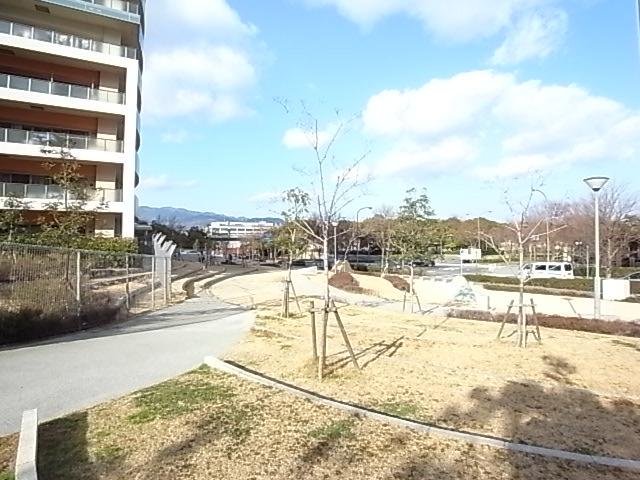 Other local
