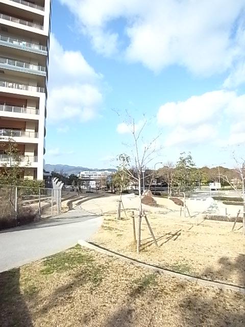 Other local