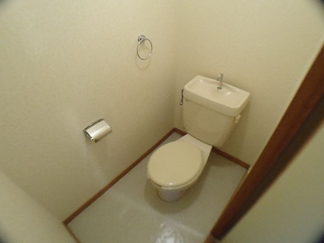 Toilet. Toilet