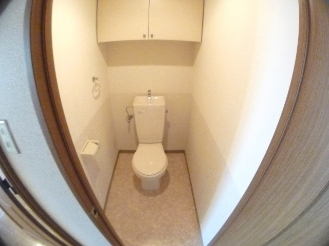 Toilet. Storage capacity is also a toilet
