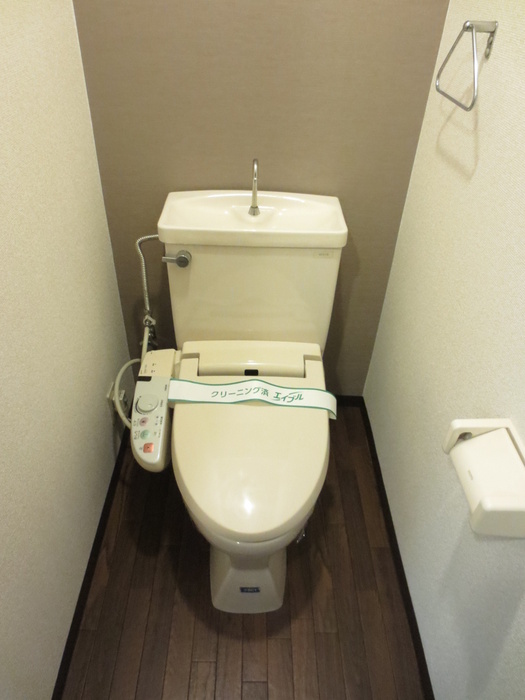 Toilet. Also it comes with a bidet