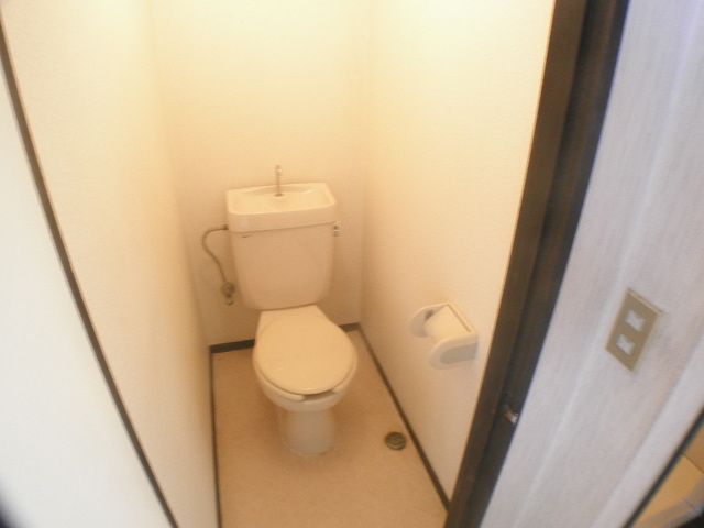 Toilet. Toilet