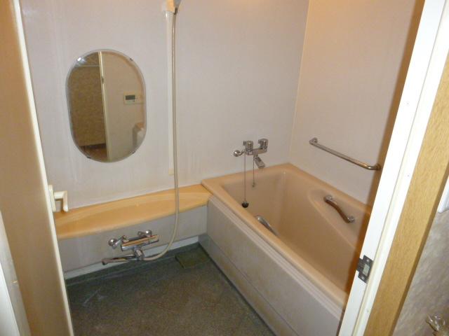 Bathroom. Indoor (10 May 2013) Shooting
