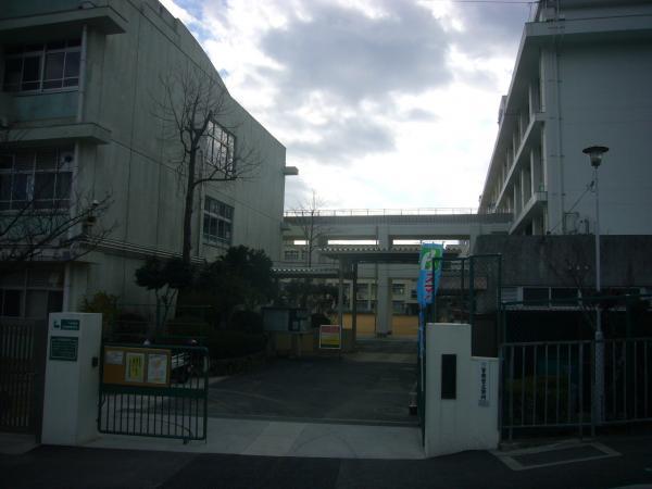 Primary school. 1150m vortex Forest elementary school vortex until the Forest Elementary School