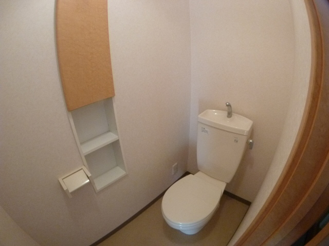 Toilet. Toilet with a storage capacity
