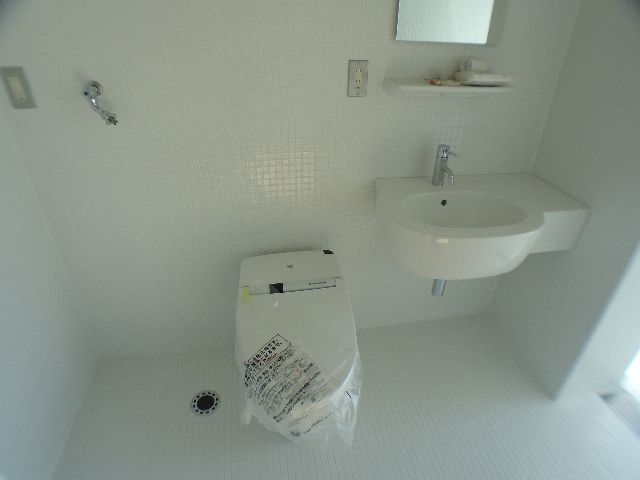 Washroom. Wash basin and toilet of sophisticated design