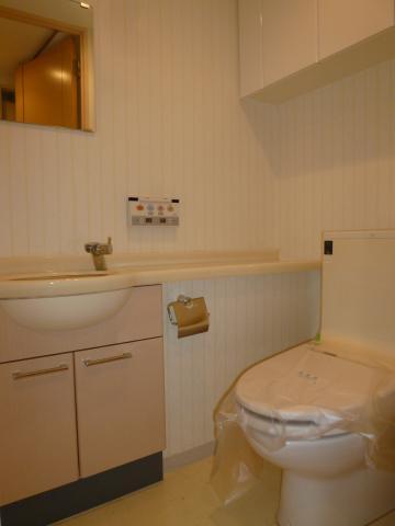 Toilet. Room (August 2013) Shooting