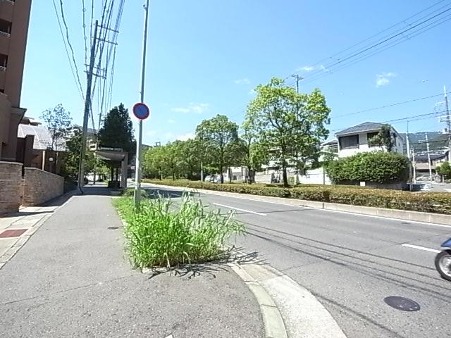 Other local