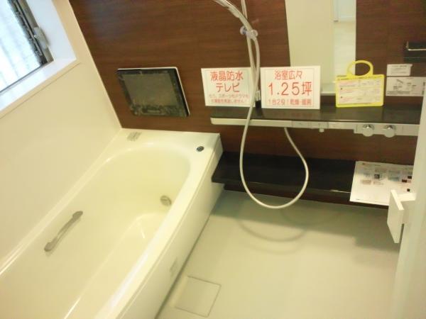 Bathroom. Bathroom with TV!  Spacious design that comfortably put in the parent and child! 