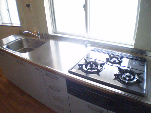 Kitchen. System Gasukitchin Installed