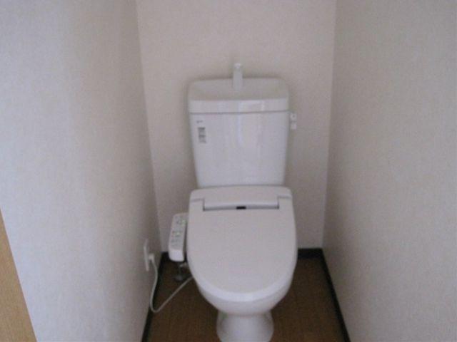 Toilet. Renovation to the newly built exactly like