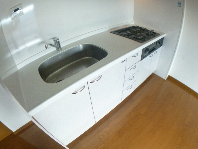 Kitchen. With gas stove to a wide sink