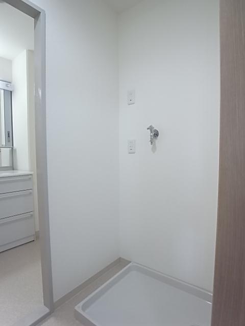 Other introspection. Laundry Area
